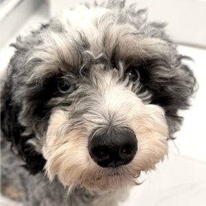 Meet your Posher, Christine